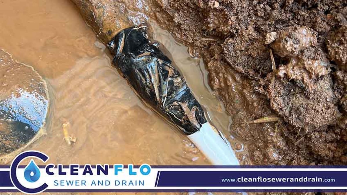 Leaking Sewer Line