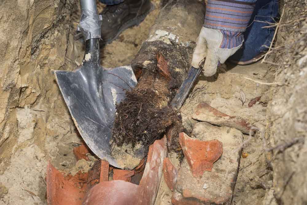 Damaged sewer line Damaged sewer line