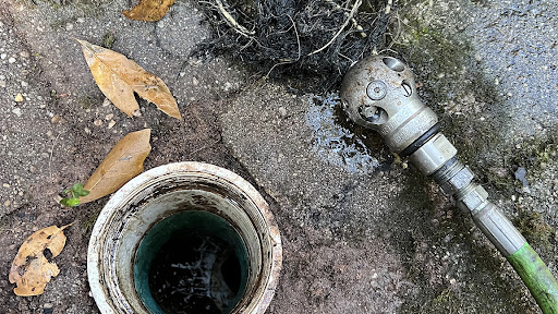 Tree Root Invasion sewer pipe Greenville, SC
