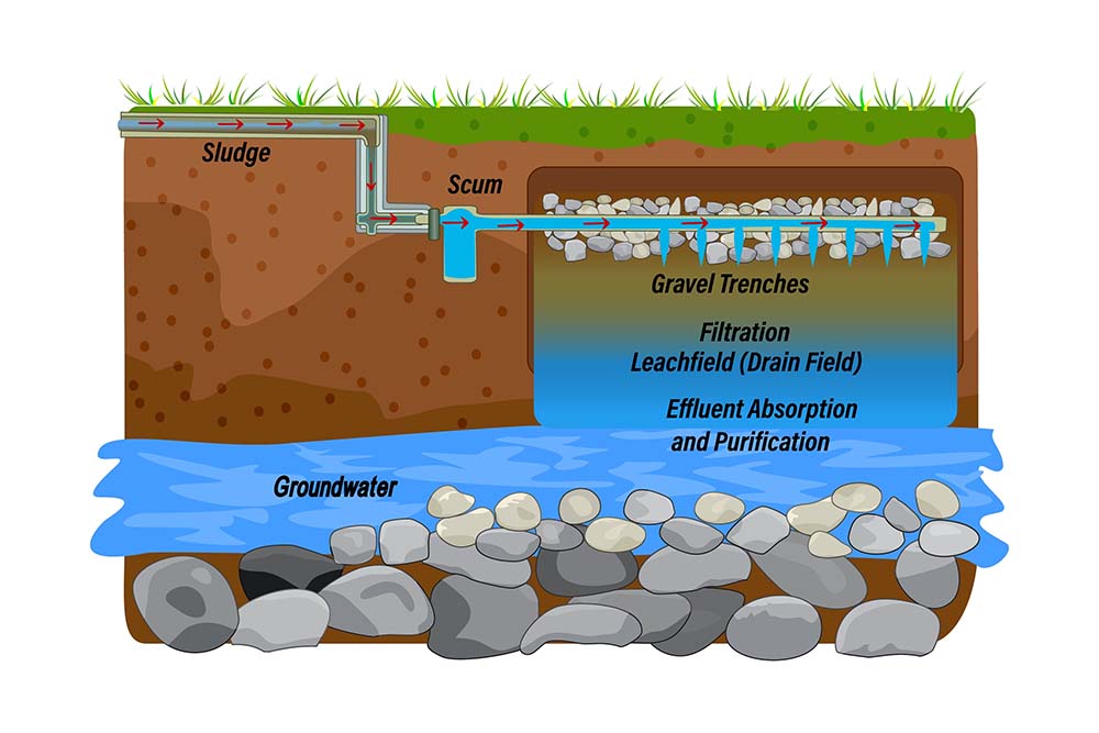 flooded drain field